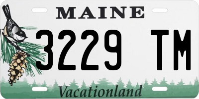 ME license plate 3229TM