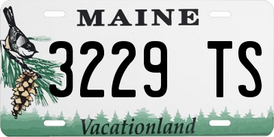 ME license plate 3229TS