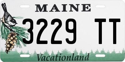 ME license plate 3229TT