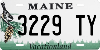 ME license plate 3229TY