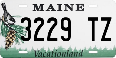 ME license plate 3229TZ