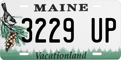 ME license plate 3229UP