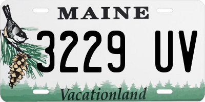 ME license plate 3229UV