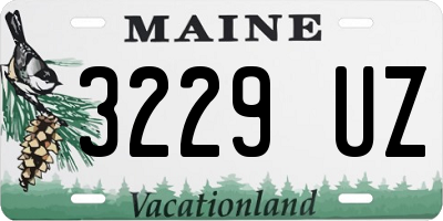 ME license plate 3229UZ