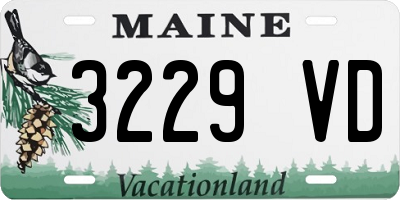 ME license plate 3229VD