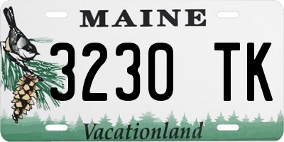 ME license plate 3230TK