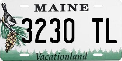 ME license plate 3230TL