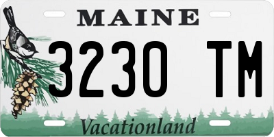 ME license plate 3230TM