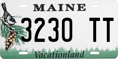 ME license plate 3230TT
