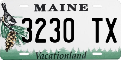 ME license plate 3230TX