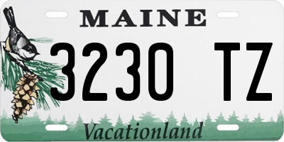 ME license plate 3230TZ