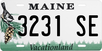 ME license plate 3231SE