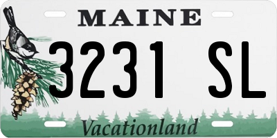 ME license plate 3231SL