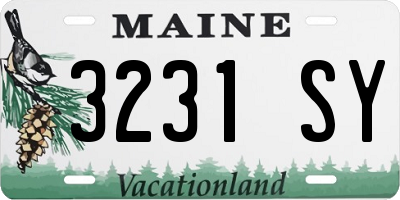 ME license plate 3231SY