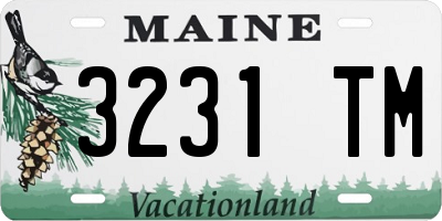 ME license plate 3231TM