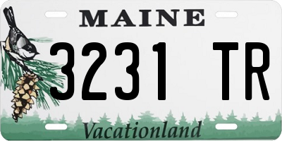 ME license plate 3231TR