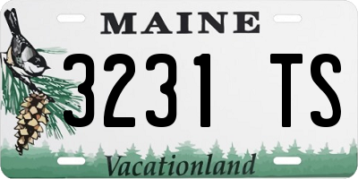 ME license plate 3231TS