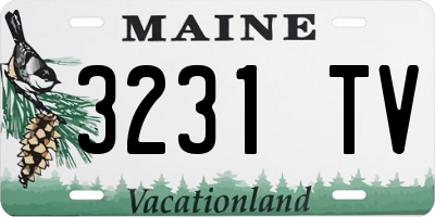 ME license plate 3231TV