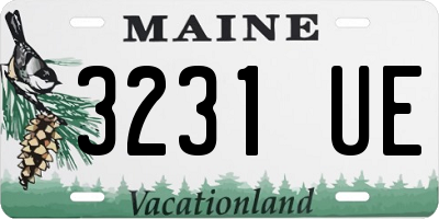 ME license plate 3231UE