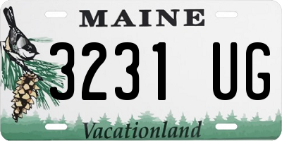 ME license plate 3231UG