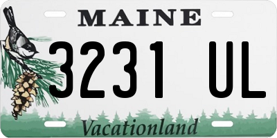 ME license plate 3231UL