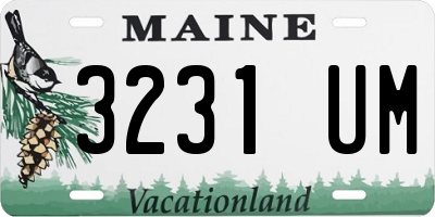 ME license plate 3231UM