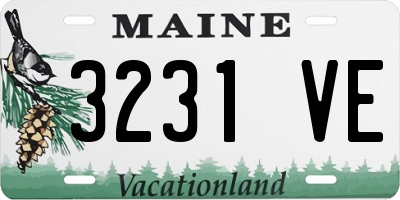 ME license plate 3231VE