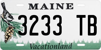 ME license plate 3233TB