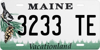 ME license plate 3233TE