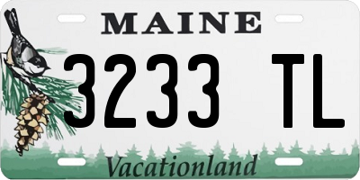 ME license plate 3233TL