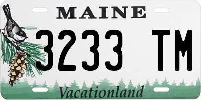 ME license plate 3233TM