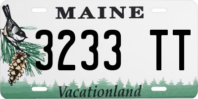 ME license plate 3233TT