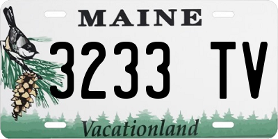 ME license plate 3233TV