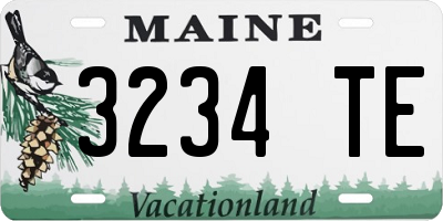 ME license plate 3234TE