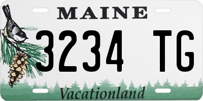 ME license plate 3234TG