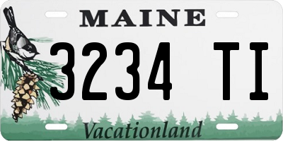 ME license plate 3234TI