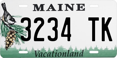 ME license plate 3234TK