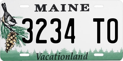 ME license plate 3234TO