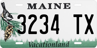 ME license plate 3234TX