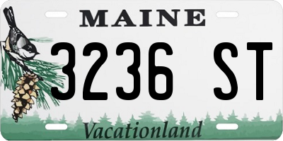 ME license plate 3236ST