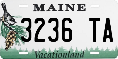 ME license plate 3236TA