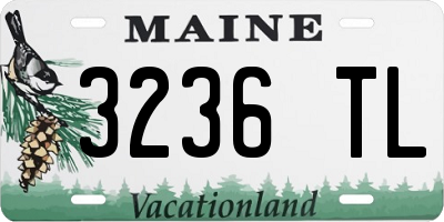 ME license plate 3236TL