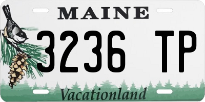 ME license plate 3236TP