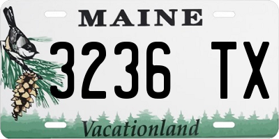 ME license plate 3236TX