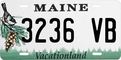 ME license plate 3236VB