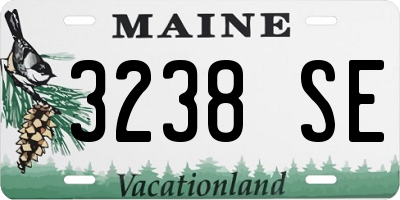 ME license plate 3238SE