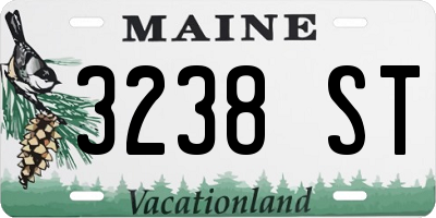 ME license plate 3238ST