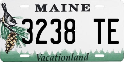 ME license plate 3238TE