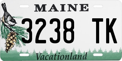ME license plate 3238TK