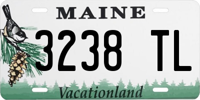 ME license plate 3238TL